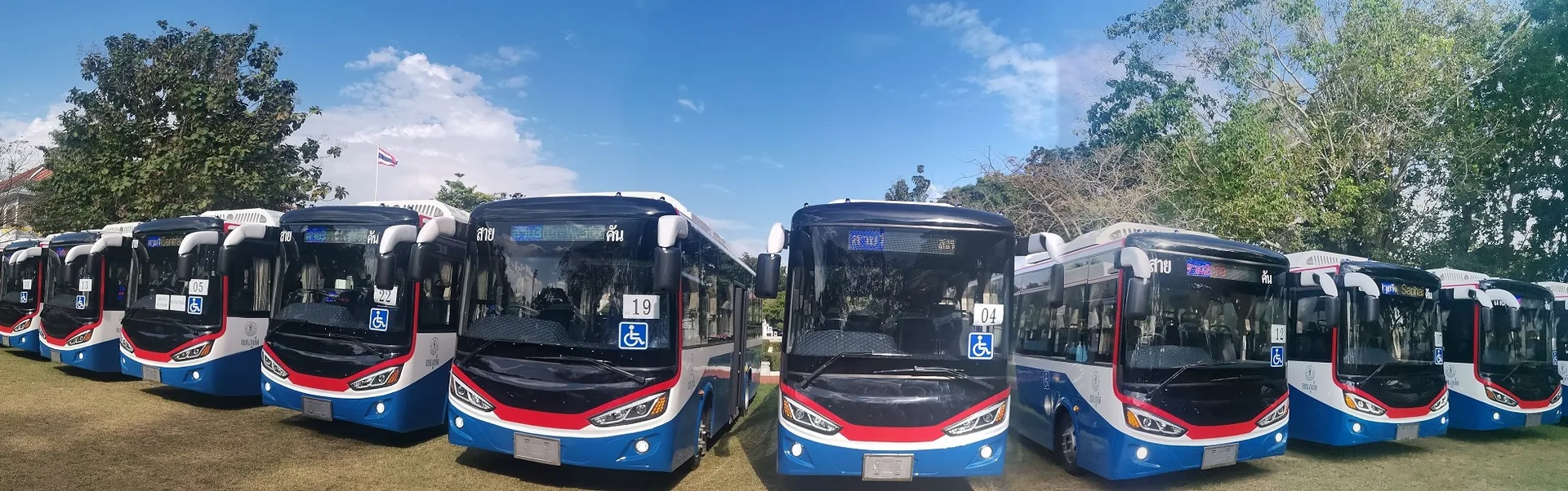 Phuket Busline